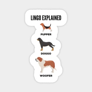 Lingo Explained Magnet