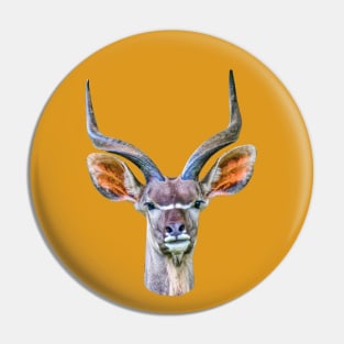 Kudu antelope Pin