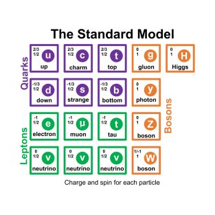 Standard Model T-Shirt