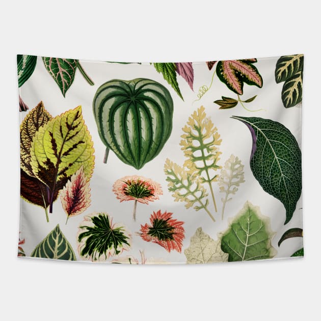 Botanical Print Art Tapestry by NewburyBoutique