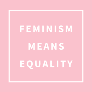 Feminism Means Equality T-Shirt