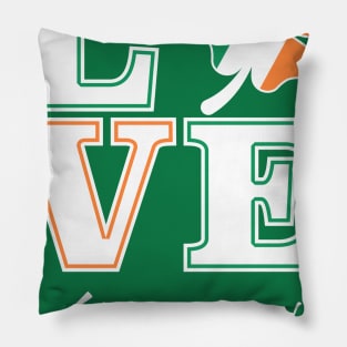 Ireland Love Eire Pillow