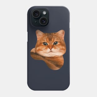 Brown tabby cat Phone Case