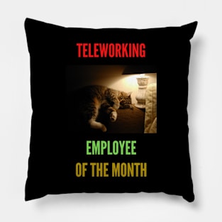 Teleworking - Employee of the Month: The Cat III Pillow