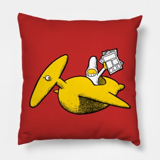 Pim-Peki tribute to Moebius Pillow