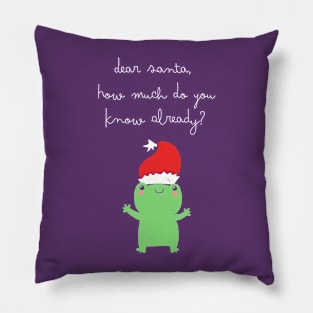 Dear Santa, How Much Do You Know Already Pillow