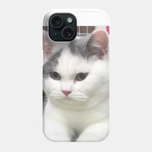 the chubby white cats Phone Case