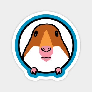 Hamster pfp Meme Magnet