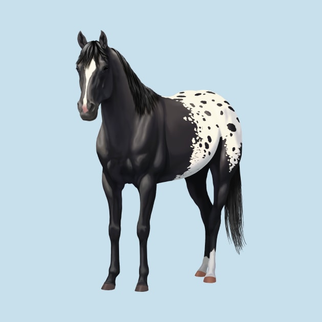 Black Quarter Horse Stallion Appaloosa by csforest