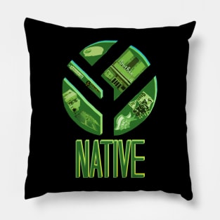 Englewood COLORADO Native Pillow