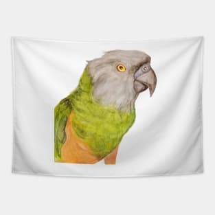 Youyou of Senegal Parrot Parrot Tropical Bird Watercolor Art Print Tapestry