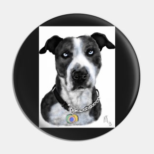 Pit Bull with Blue Eyes Pin