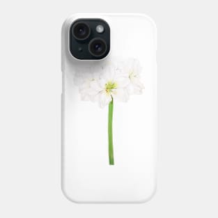 white Amaryllis flowers watercolor Phone Case