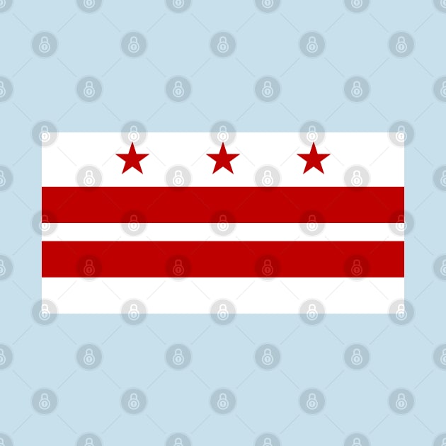 Washington DC Flag by Lucha Liberation