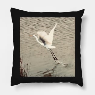 Soaring Egret Pillow