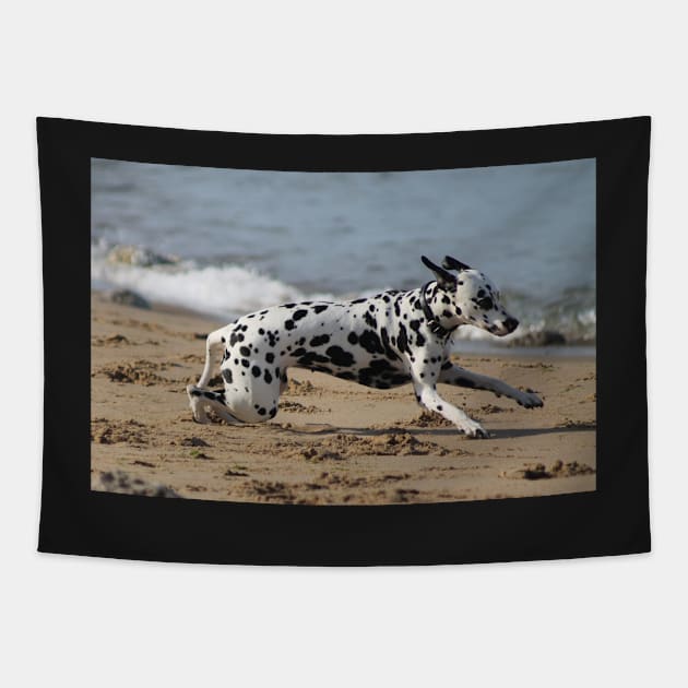 Dalmation Dash Tapestry by Ladymoose