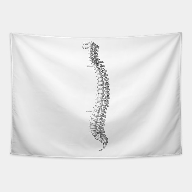 Human Body - Spine Tapestry by be yourself. design