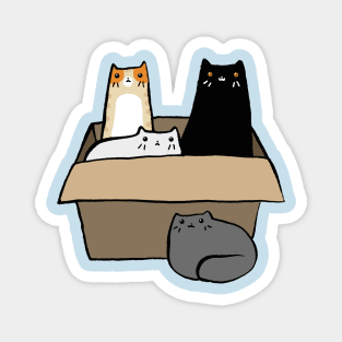 Cats in a Box Magnet