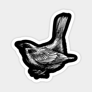 bird vintage hand drawing design Magnet