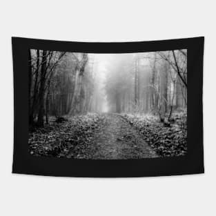 Walk through the woods on a foggy morning Tapestry