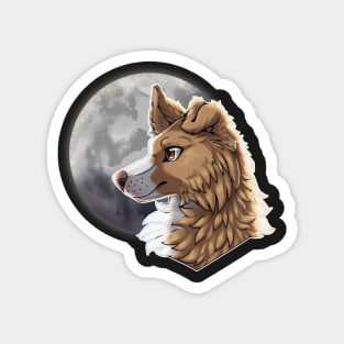 Golden Border Collie with Night Sky Full Moon Magnet