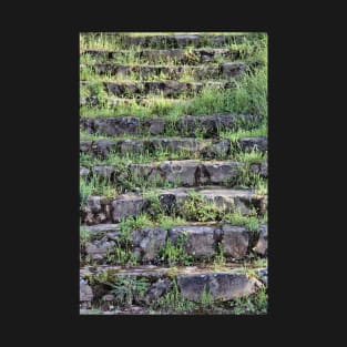 The forgotten stairway T-Shirt