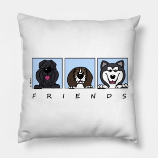 Friends Pillow