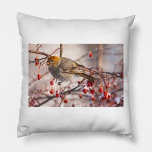 Winter Berries Pillow