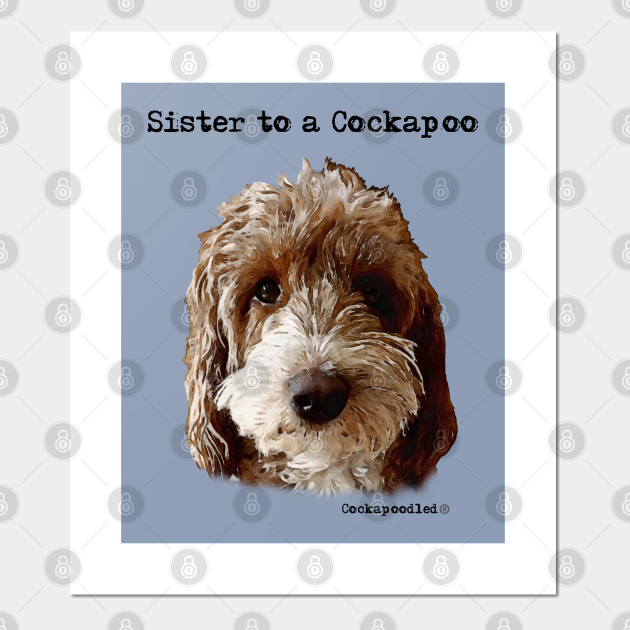 cockapoo prints and posters