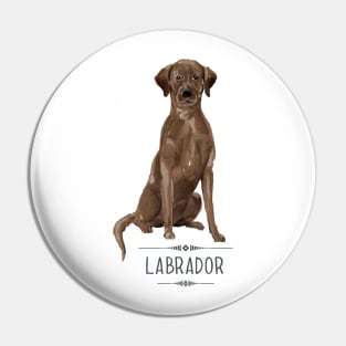 Chocolate Brown Labrador Pin