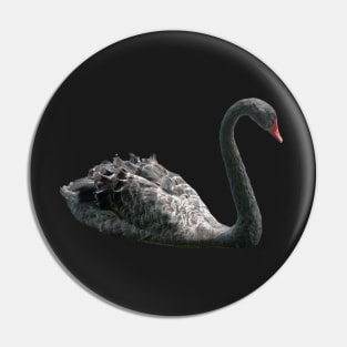 Black Swan Pin