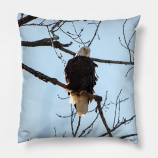 Bald Eagle Pillow