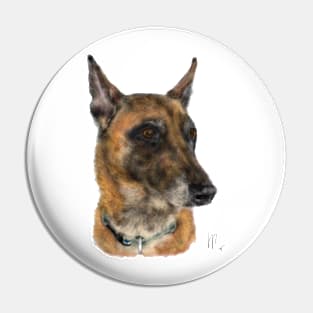 A Handsome Belgian Shepherd Dog Pin