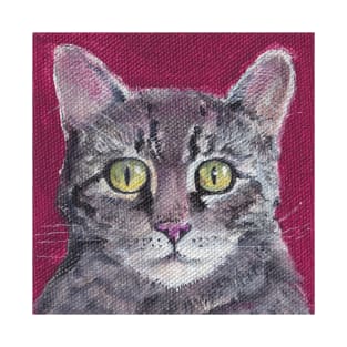 Gray tiger cat on red T-Shirt