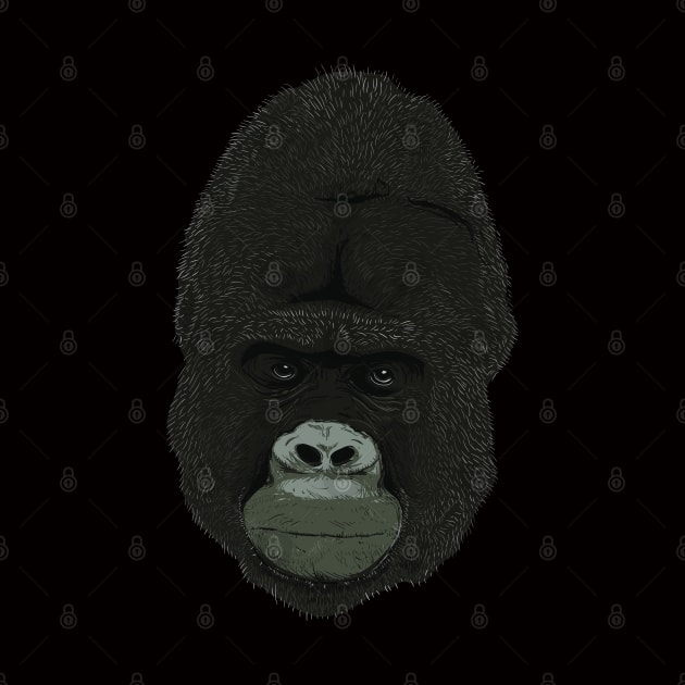 Gorilla by DarkChoocoolat