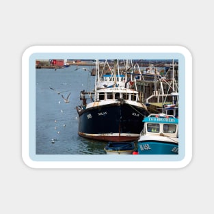 Fishing boats and seagulls Magnet