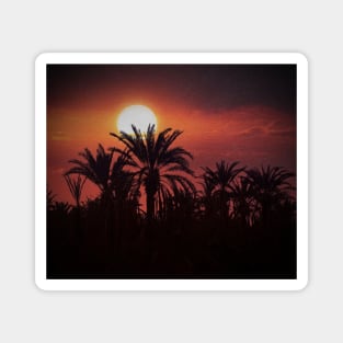 Sunset View In The Palm Forest Magnet