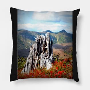 Johnston's Ridge like something out of Oz Pillow