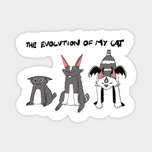 Evolution of my cat. Magnet