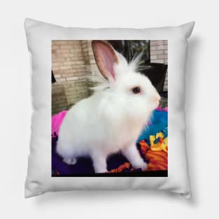 Bunny Pillow