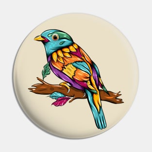 breasted bird colorful Pin