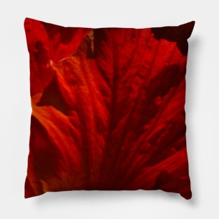 Red Flame Pillow