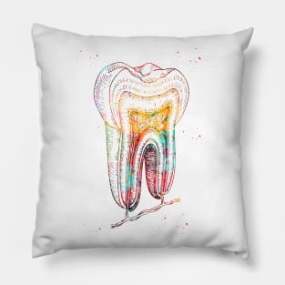 Human tooth structure Pillow