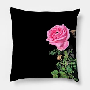 Lace Rose Pillow