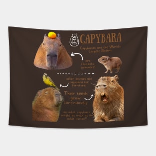 Animal Facts - Capybara Tapestry