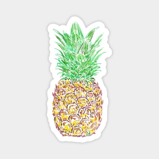 Pineapple Magnet