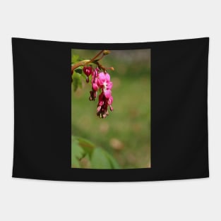 Bleeding hearts Tapestry