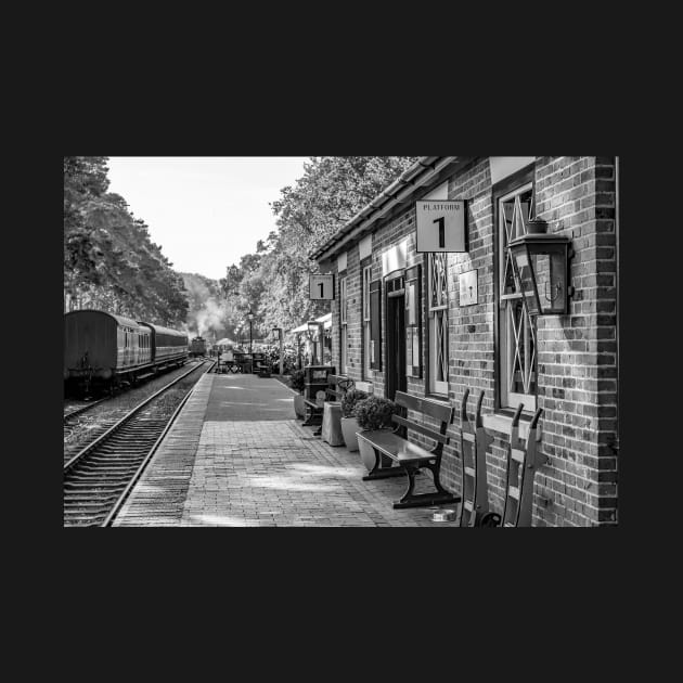 Picturesque railway station, Norfolk, UK by yackers1