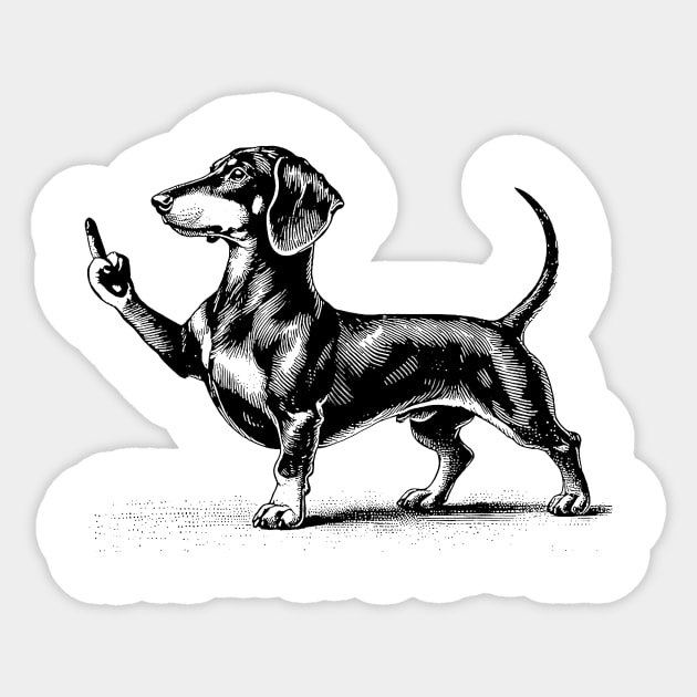 Dachshund