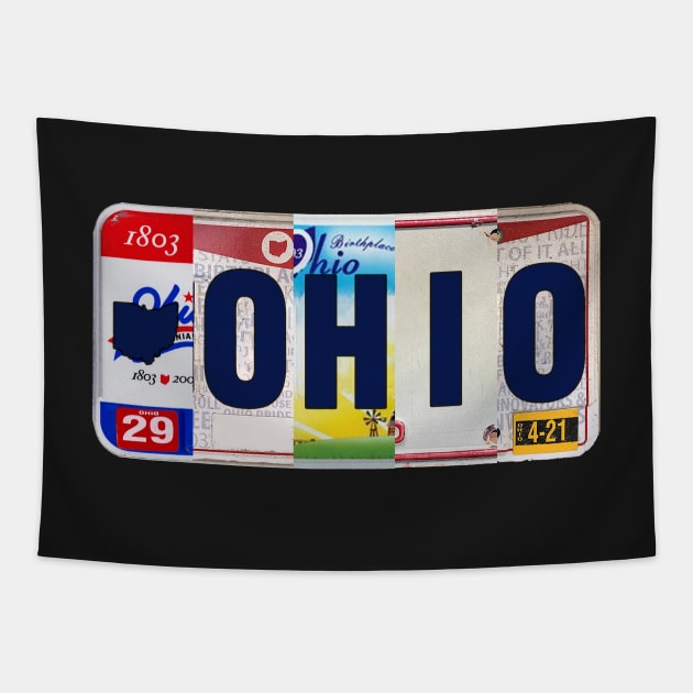 Ohio License Plates Tapestry by stermitkermit